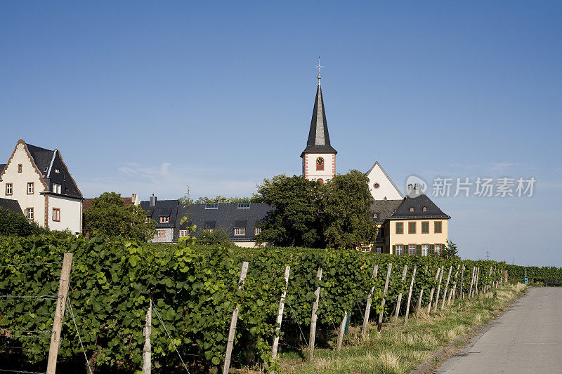 教堂和葡萄园- Hochheim am Main，德国
